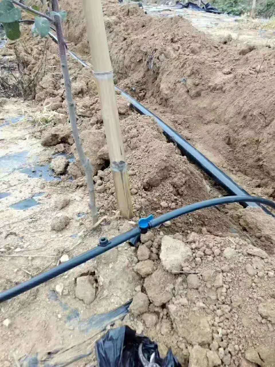 发生湖北滴灌堵塞的处理